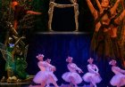 DANÇA - Zélia de Paula apresenta  “Fragmentos Coreográficos”