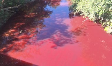 COMUNICADO - Mancha vermelha no Rio São João investigada