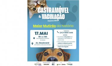 SAÚDE ANIMAL - Itaúna recebe maior mutirão  de castração da sua história