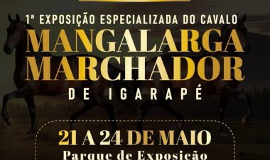 Igarapé recebe exposição do Cavalo Mangalarga Marchador a partir desta quarta-feira