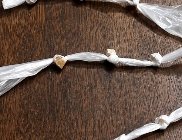 Polícia prende jovem por tráfico de drogas em Itatiaiuçu