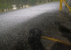 Chuva de granizo surpreende moradores em Itaúna nesta segunda-feira