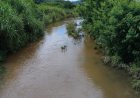 MEIO AMBIENTE - Itaúna e as ações de preservação do ecossistema
