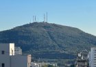 MORRO DO BONFIM - Prefeitura planta 100 mudas de quaresmeiras