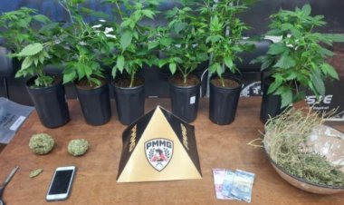 Homem é preso com estufa de maconha no bairro Santa Edwiges II