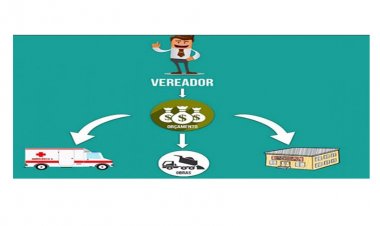 DINHEIRO PÚBLICO - TCE-MG define regras para as “emendas impositivas”