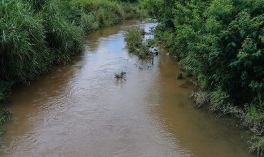MEIO AMBIENTE - Itaúna e as ações de preservação do ecossistema