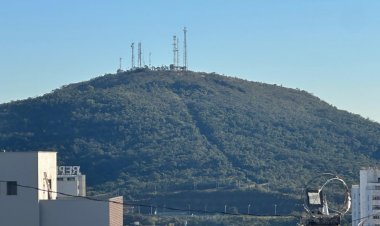 MORRO DO BONFIM - Prefeitura planta 100 mudas de quaresmeiras