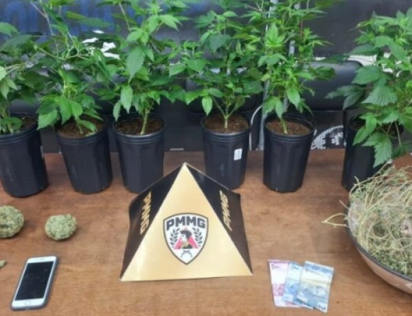 Homem é preso com estufa de maconha no bairro Santa Edwiges II
