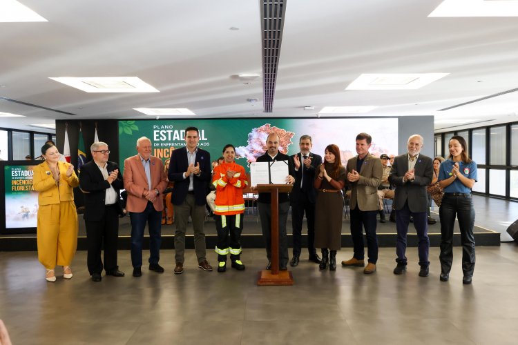 Minas lança plano para combater incêndios florestais até 2031