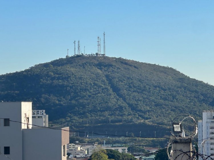 MORRO DO BONFIM - Prefeitura planta 100 mudas de quaresmeiras